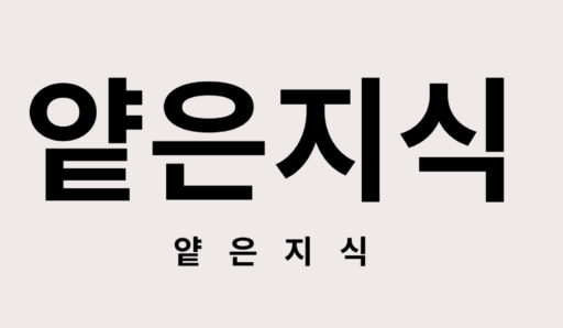 얕은지식