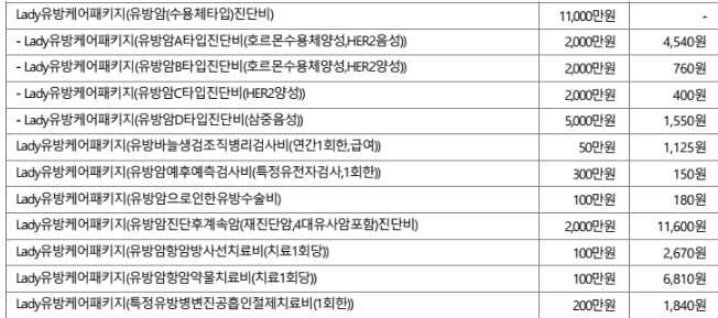 유방암 타입별 분류 호르몬 수용체 HER2 양성 음성 구분표