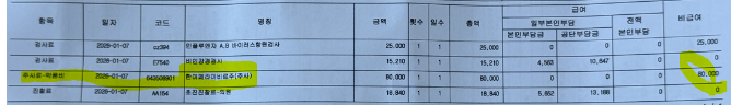 비급여 영양제 주사 실비 청구 시 필요한 혈액 검사 결과지 및 식약처 허가 주사 종류 요약